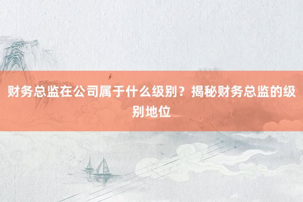 财务总监在公司属于什么级别？揭秘财务总监的级别地位